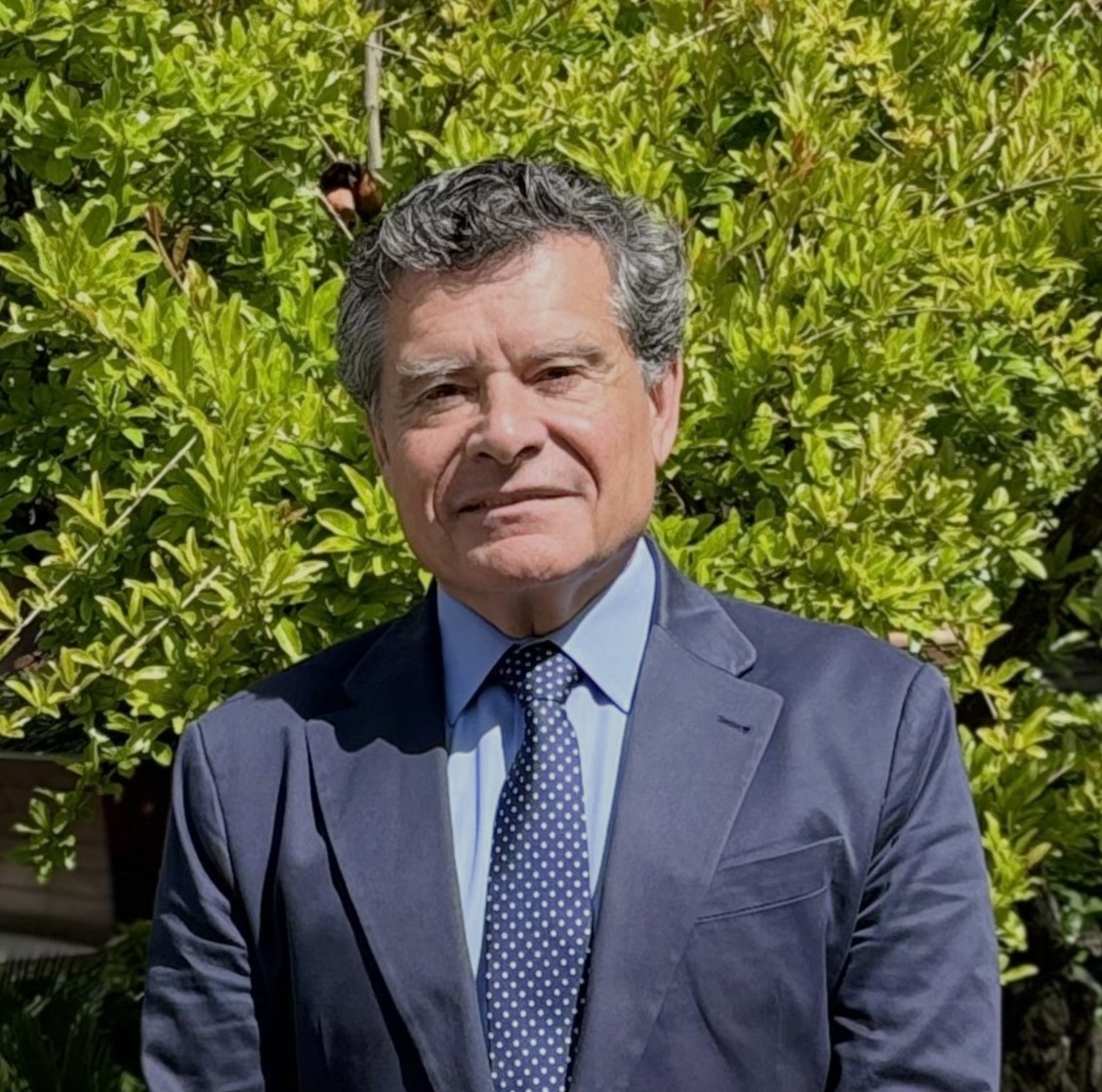 Francisco-Martín